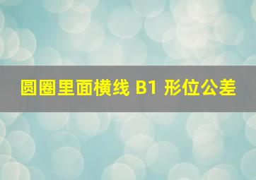 圆圈里面横线 B1 形位公差